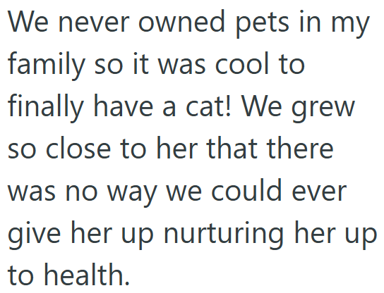 We never owned pets in my family so it was cool to finally have a cat! We grew so close to her that there was no way we could ever give her up nurturing her up to health.
