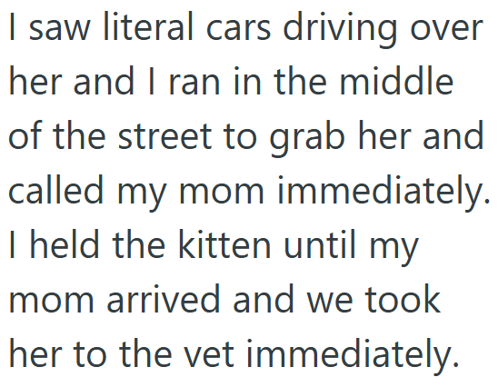 I saw literal cars driving over her and I ran in the middle of the street to grab her and called my mom immediately. I held the kitten until my mom arrived and we took her to the vet immediately.