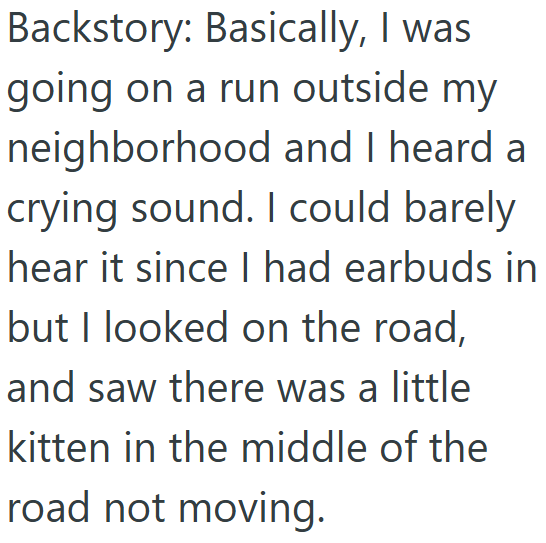 Backstory: Basically, I was going on a run outside my neighborhood and I heard a crying sound. I could barely hear it since I had earbuds in but I looked on the road, and saw there was a little kitten in the middle of the road not moving.