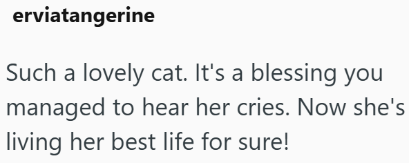 erviatangerine Such a lovely cat. It's a blessing you managed to hear her cries. Now she's living her best life for sure!