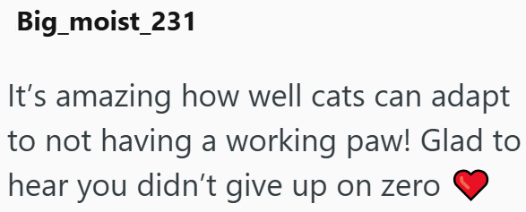 Big_moist_231 It's amazing how well cats can adapt to not having a working paw! Glad to hear you didn't give up on zero