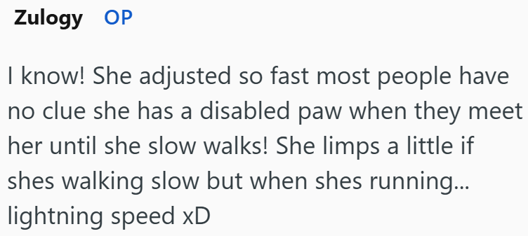 Zulogy OP I know! She adjusted so fast most people have no clue she has a disabled paw when they meet her until she slow walks! She limps a little if shes walking slow but when shes running... lightning speed xD