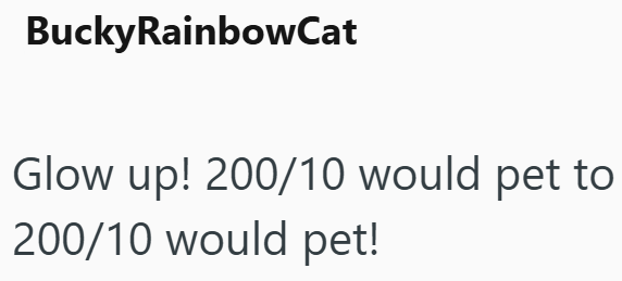 BuckyRainbowCat Glow up! 200/10 would pet to 200/10 would pet!