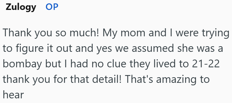 Zulogy OP Thank you so much! My mom and I were trying to figure it out and yes we assumed she was a bombay but I had no clue they lived to 21-22 thank you for that detail! That's amazing to hear