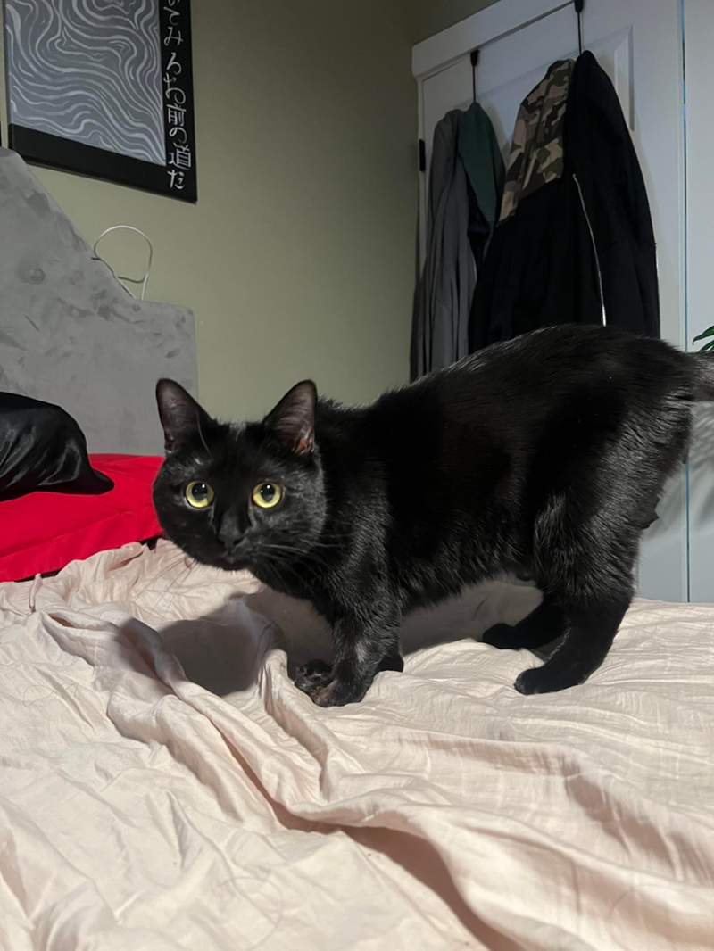 てみるお前の道だ