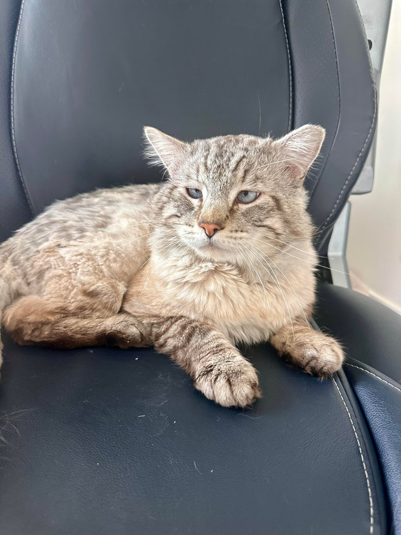 Cheezburger Image 10625780480