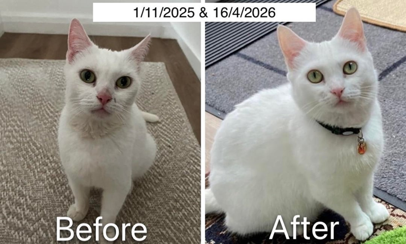 1/11/2025 & 16/4/2026 Before After