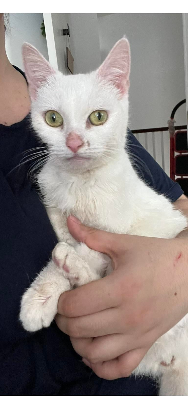 Cheezburger Image 10625781504