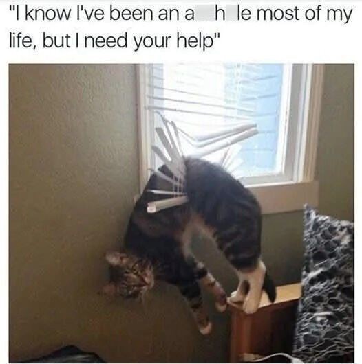 "I know I've been an a h le most of my life, but I need your help"