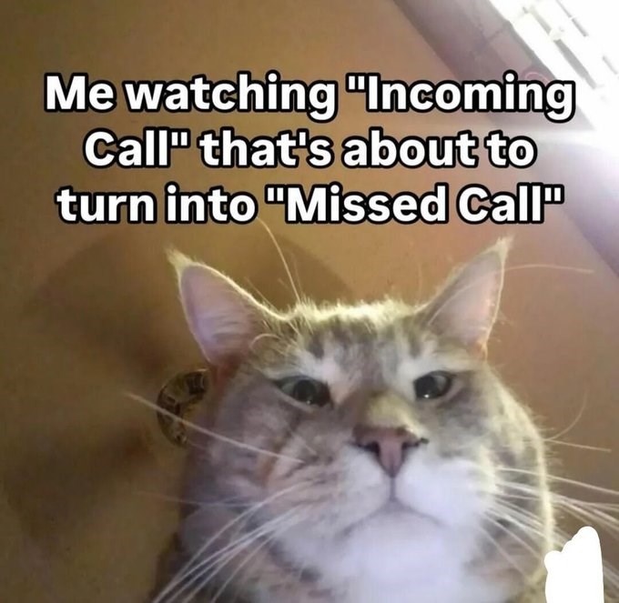 Me watching "Incoming Call" that's about to turn into "Missed Call"