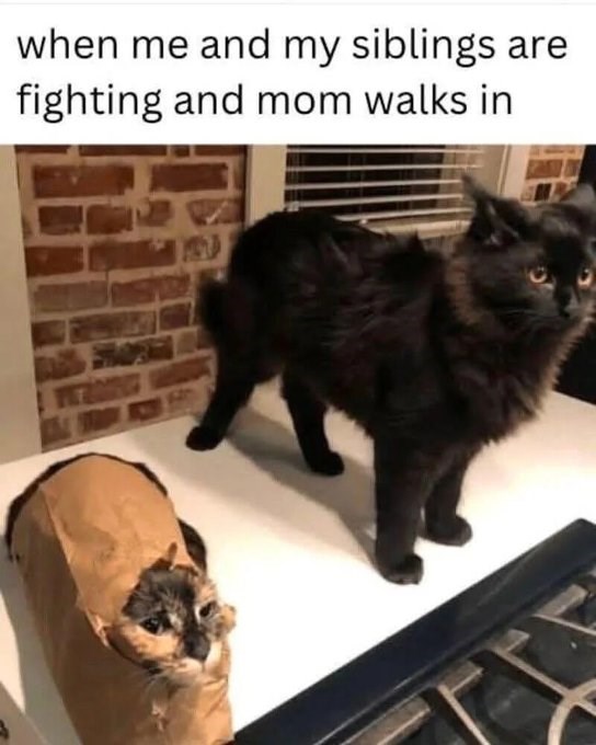 when me and my siblings are fighting and mom walks in