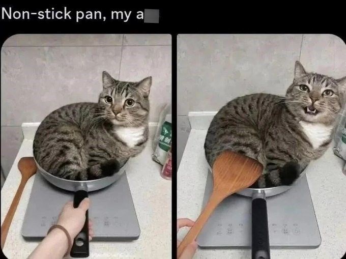 Non-stick pan, my a 12 45