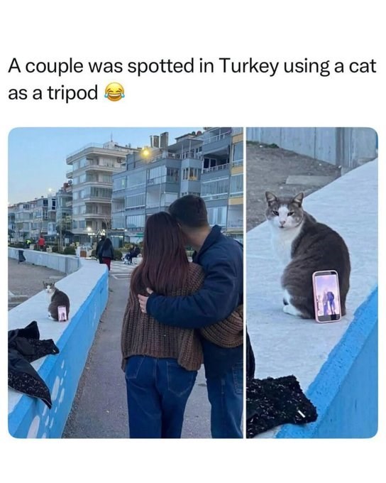 A couple was spotted in Turkey using a cat as a tripod