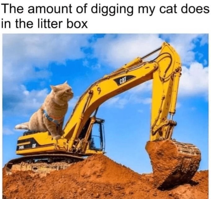 The amount of digging my cat does in the litter box 9 CAT
