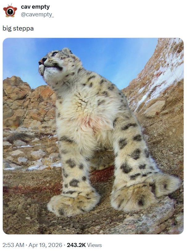 cav empty @cavempty_ big steppa • • 2:53 AM ⚫ Apr 19, 2026 243.2K Views