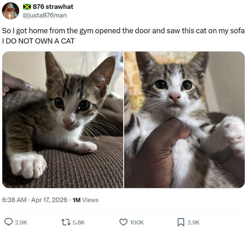 × 876 strawhat @justa876man So I got home from the gym opened the door and saw this cat on my sofa I DO NOT OWN A CAT 6:38 AM Apr 17, 2026 1M Views 2.9K 1 5.8K 100K 2.9K