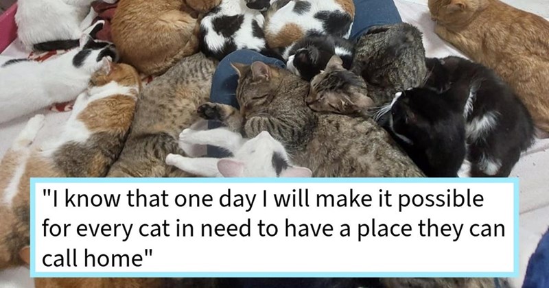 "I know that one day I will make it possible for every cat in need to have a place they can call home"