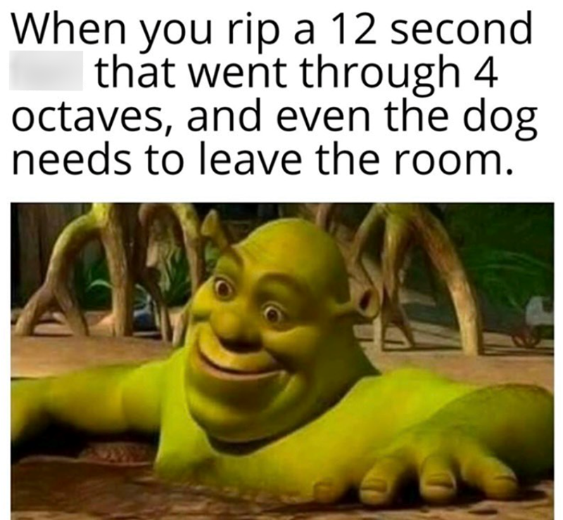 When you rip a 12 second that went through 4 octaves, and even the dog needs to leave the room.