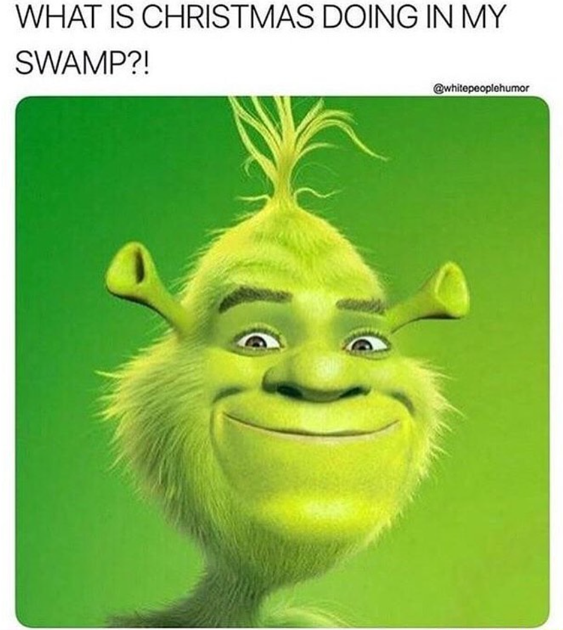 WHAT IS CHRISTMAS DOING IN MY SWAMP?! @whitepeoplehumor