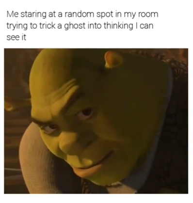 Me staring at a random spot in my room trying to trick a ghost into thinking I can see it