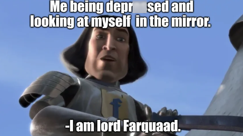 Me being depr sed and looking at myself in the mirror. -I am lord Farquaad.