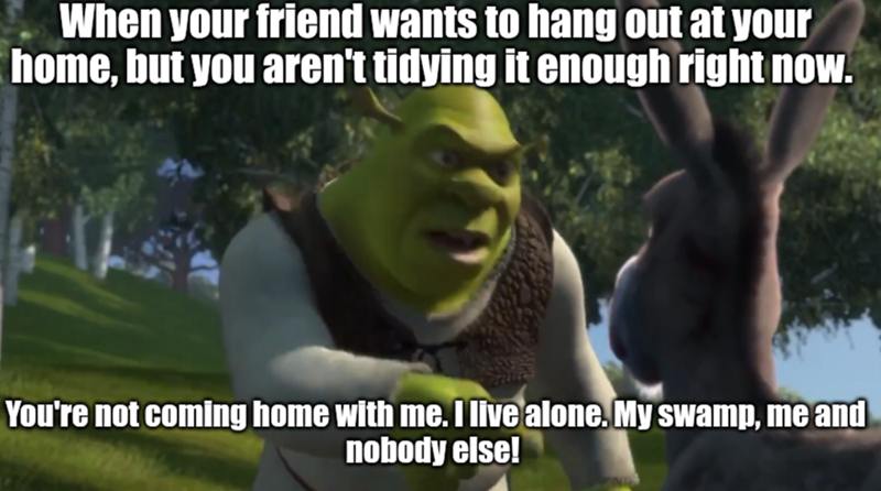 When your friend wants to hang out at your home, but you aren't tidying it enough right now. You're not coming home with me. I live alone. My swamp, me and nobody else!
