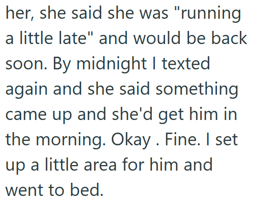 her, she said she was "running a little late" and would be back soon. By midnight I texted again and she said something came up and she'd get him in the morning. Okay. Fine. I set up a little area for him and went to bed.