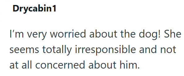 Drycabin1 I'm very worried about the dog! She seems totally irresponsible and not at all concerned about him.