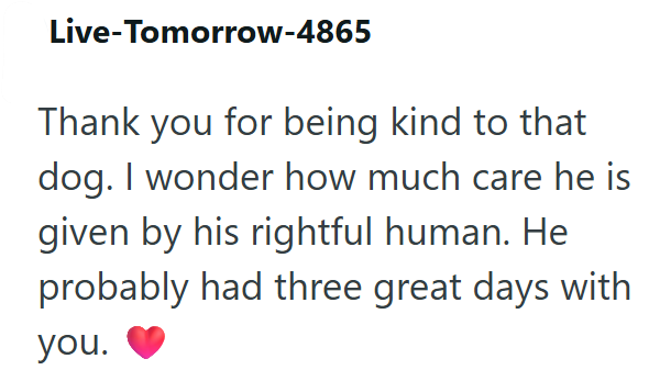 Live-Tomorrow-4865 Thank you for being kind to that dog. I wonder how much care he is given by his rightful human. He probably had three great days with you.