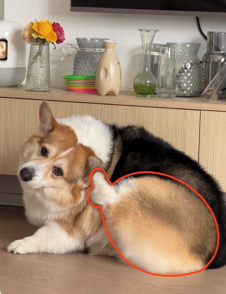 Cheezburger Image 10625821696