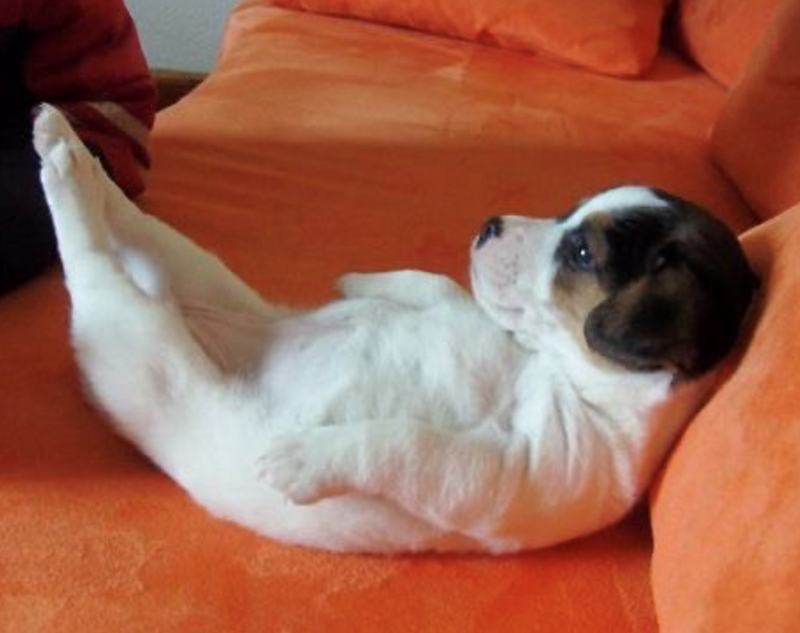 Cheezburger Image 10625823488