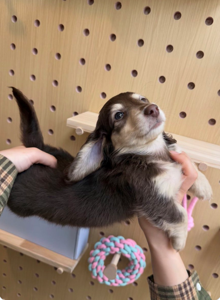 Cheezburger Image 10625824256