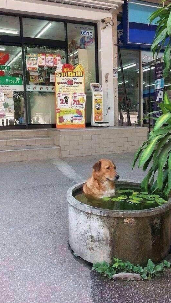 ....ก็แวะมา 24 8 6835 0513 ansa Janos รายล EC 70 1,424,500 ร้าน Duble A A