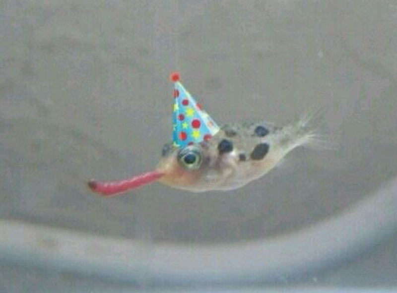 Cheezburger Image 10625827840