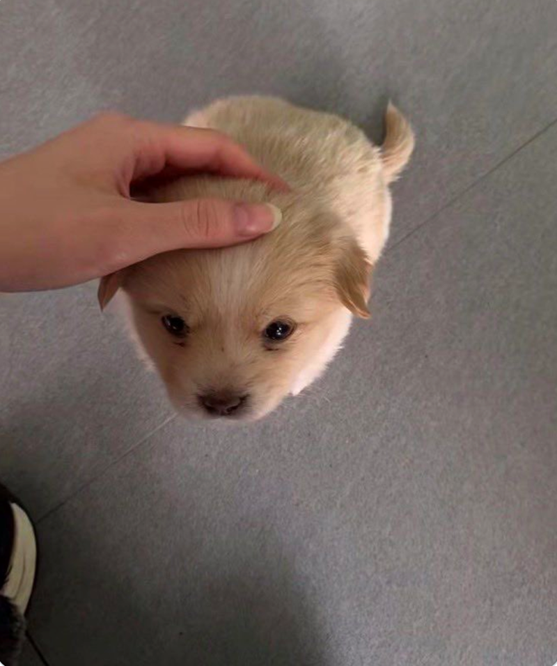 Cheezburger Image 10625828608