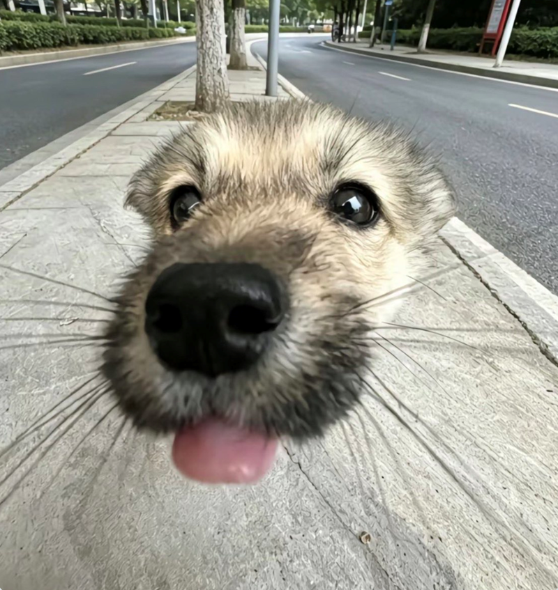 Cheezburger Image 10625829120