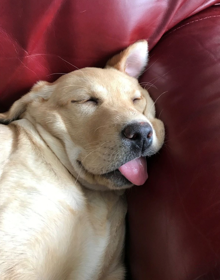 Cheezburger Image 10625829632