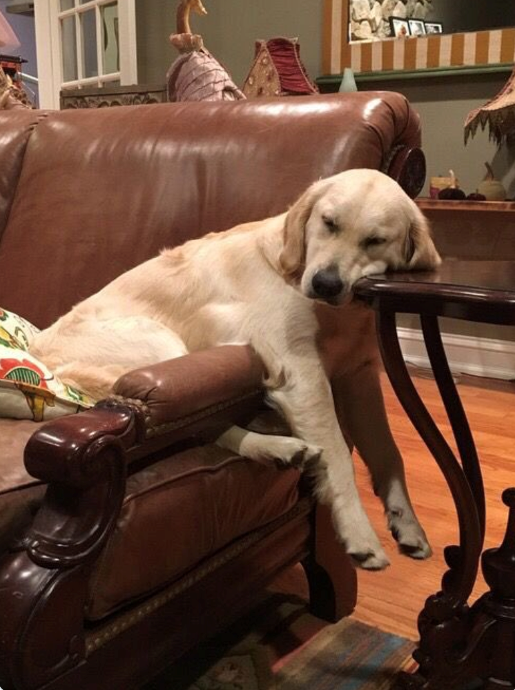 Cheezburger Image 10625830656