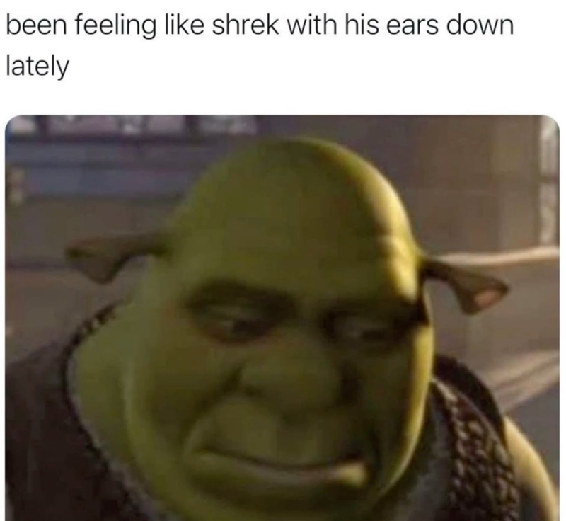 been feeling like shrek with his ears down lately