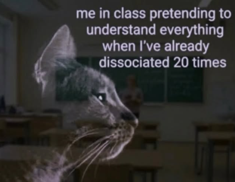 m me in class pretending to understand everything when I've already dissociated 20 times