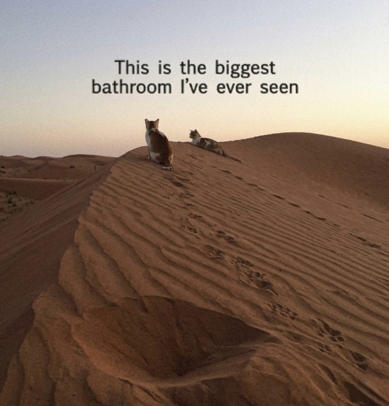 This is the biggest bathroom I've ever seen