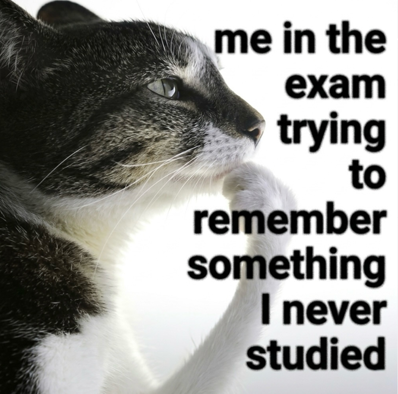 me in the exam trying to remember something I never studied