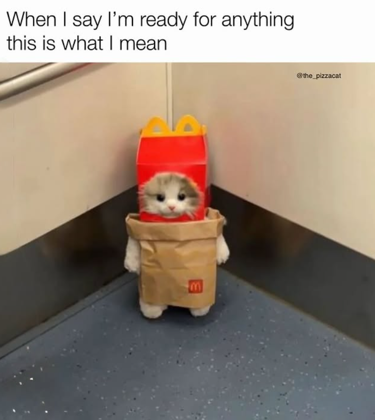 When I say I'm ready for anything this is what I mean @the_pizzacat E