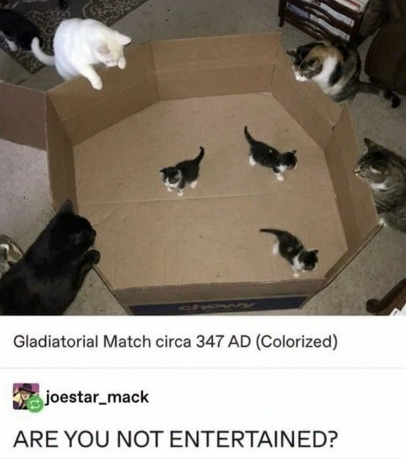 Gladiatorial Match circa 347 AD (Colorized) joestar_mack ARE YOU NOT ENTERTAINED?