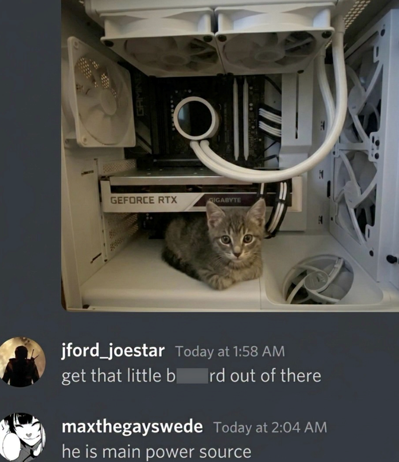 GAMING GEFORCE RTX GIGABYTE jford_joestar Today at 1:58 AM get that little b rd out of there maxthegayswede Today at 2:04 AM he is main power source F