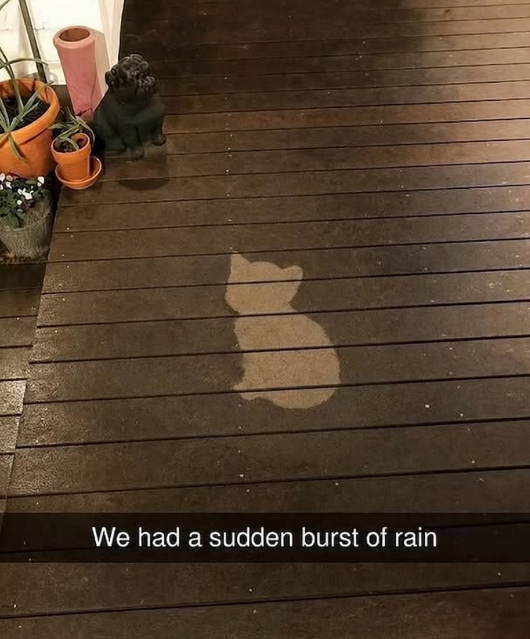 We had a sudden burst of rain