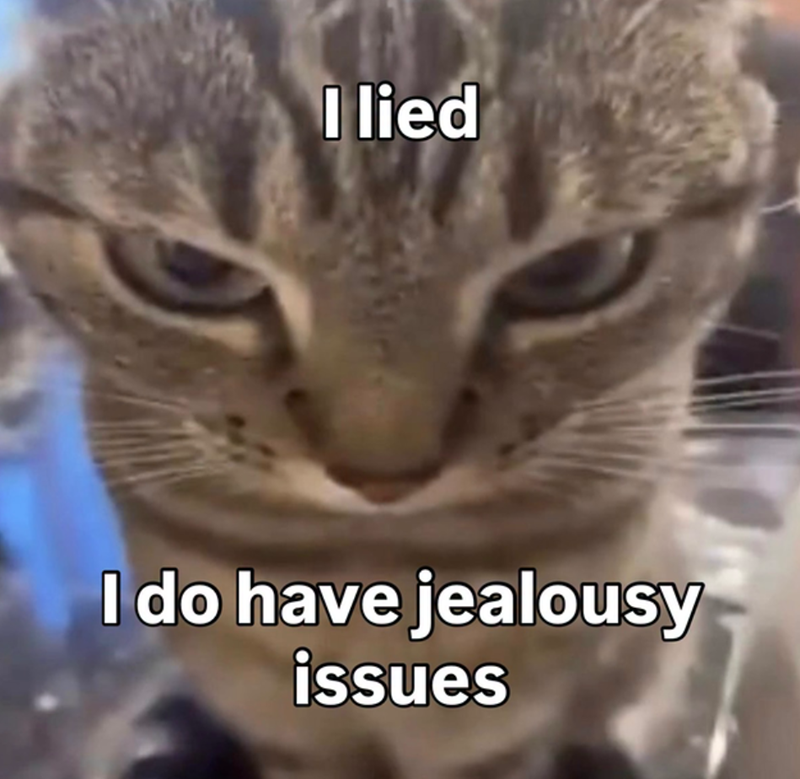 I lied I do have jealousy issues