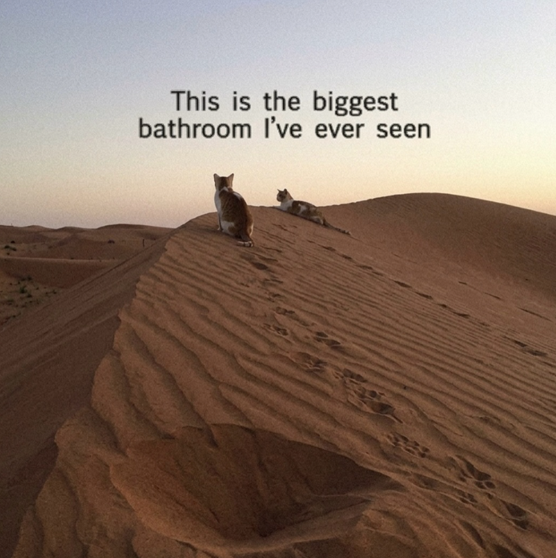 This is the biggest bathroom I've ever seen