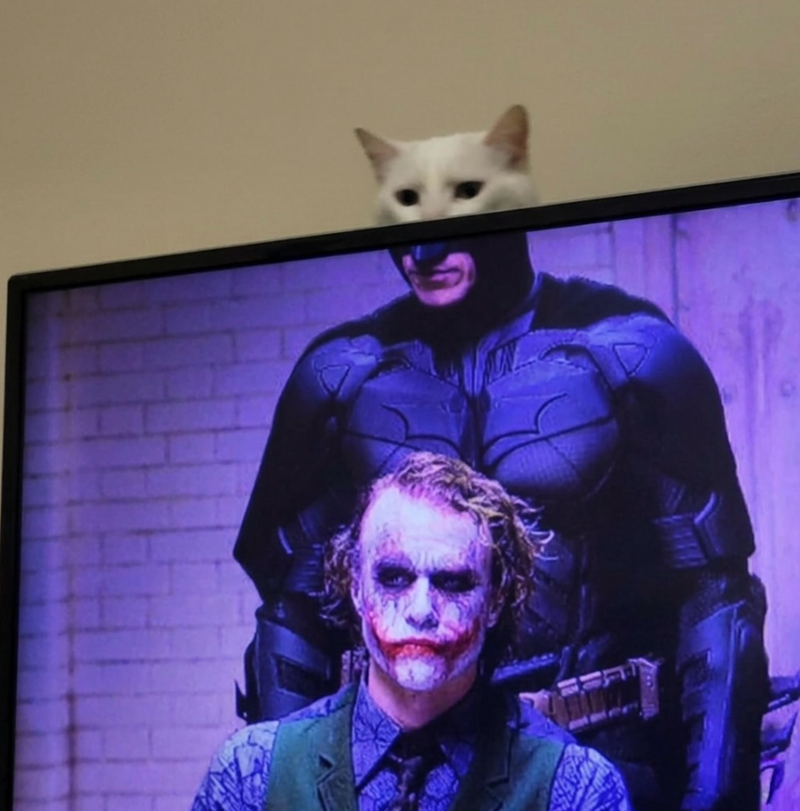 Cheezburger Image 10625843712