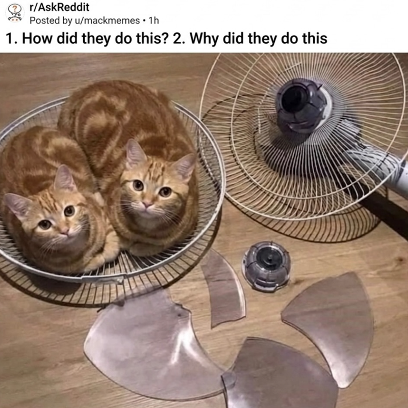 r/AskReddit Posted by u/mackmemes • 1h 1. How did they do this? 2. Why did they do this
